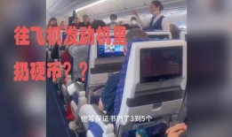 飞机内部爆料视频播放,真实飞行体验全记录