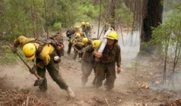 爆料野外生存视频,跟随视频探索生存技巧与挑战